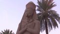 Rozpacz w Egipcie! Turyści już tam nie jeżdżą