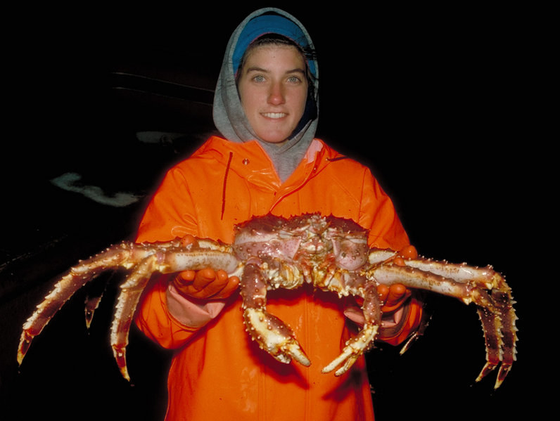 Rozpiętość nóg jednego kraba może dochodzić do 1,8 m. /NOAA    /domena publiczna