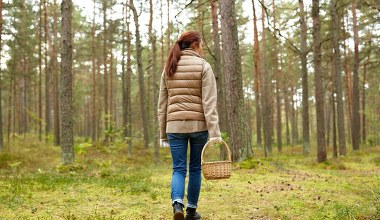 Rozpoczyna się sezon na najgorsze grzybowe pomyłki. Sprawdź, jak nie popełnić błędu