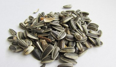 Розсипте його скрізь, де можна. Діє на грунт, як відра компосту