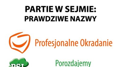 Rozszyfrowanie skrótów naszych partii politycznych