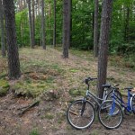 Roztoczański Park Narodowy ponownie otwarty. Służby apelują