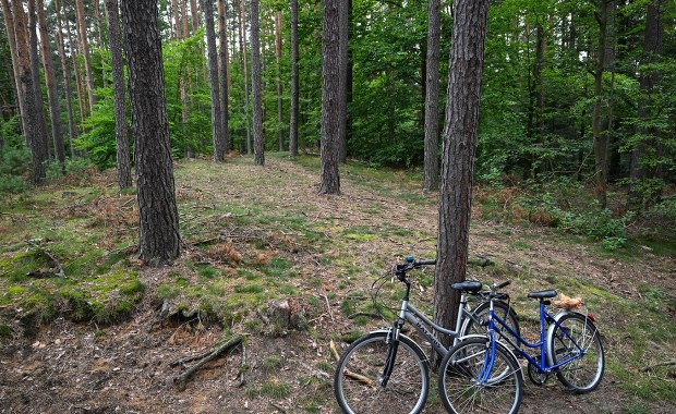 Roztoczański Park Narodowy ponownie otwarty. Służby apelują