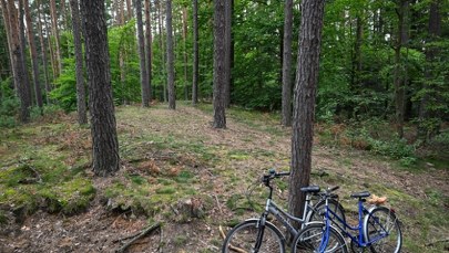 Roztoczański Park Narodowy ponownie otwarty. Służby apelują