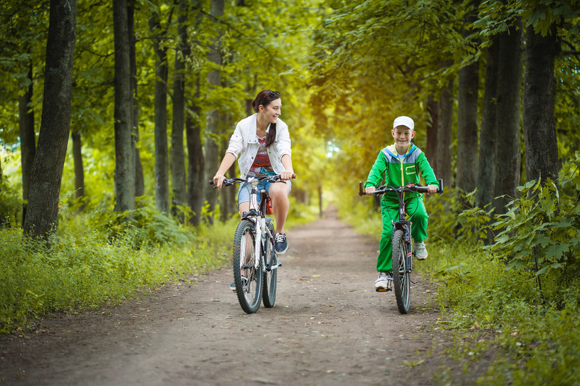 Roztoczański Park Narodowy to raj dla rowerzystów /123RF/PICSEL