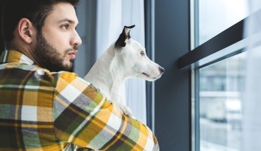 Rozumieją więcej, niż myśleliśmy. Zaskakujące odkrycie ws. psów