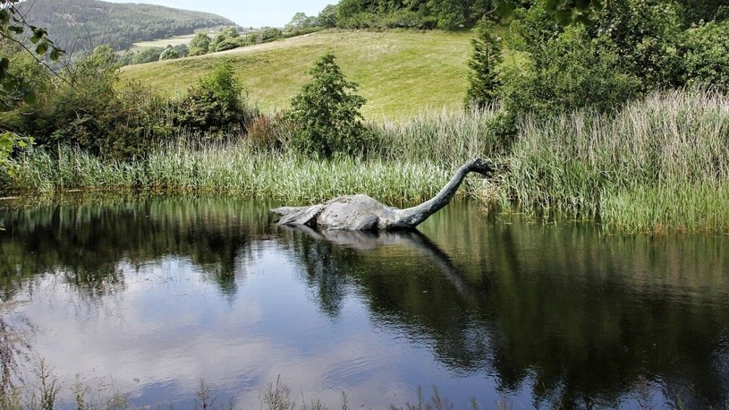 Rozwiązano tajemnicę potwora z Loch Ness. „Wykryliśmy go po śladach DNA” /Geekweek