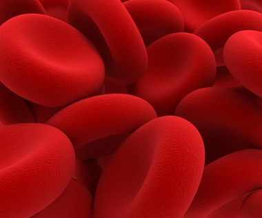 Rozwiązano wielką tajemnicę nowotworowych komórek krwi