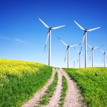 Rozwój lądowej energetyki wiatrowej? Polacy są za