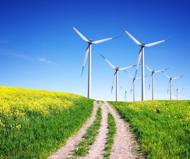 Rozwój lądowej energetyki wiatrowej? Polacy są za