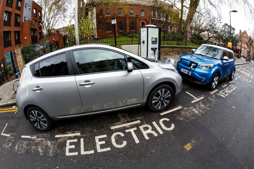 Rozwój samochodów elektrycznych hamuje brak dopłat ze strony państwa /Getty Images