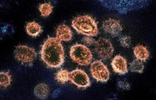 RPA: Naukowcy odkryli nową mutację koronawirusa