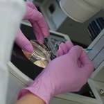 RPO alarmuje: In vitro będzie dostępne tylko dla zamożnych
