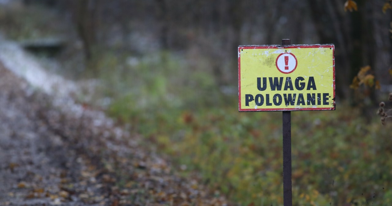 RPO chce zmian w prawie łowieckim. Chodzi o naruszenie praw właścicieli nieruchomości /Mateusz Kotowicz /Reporter