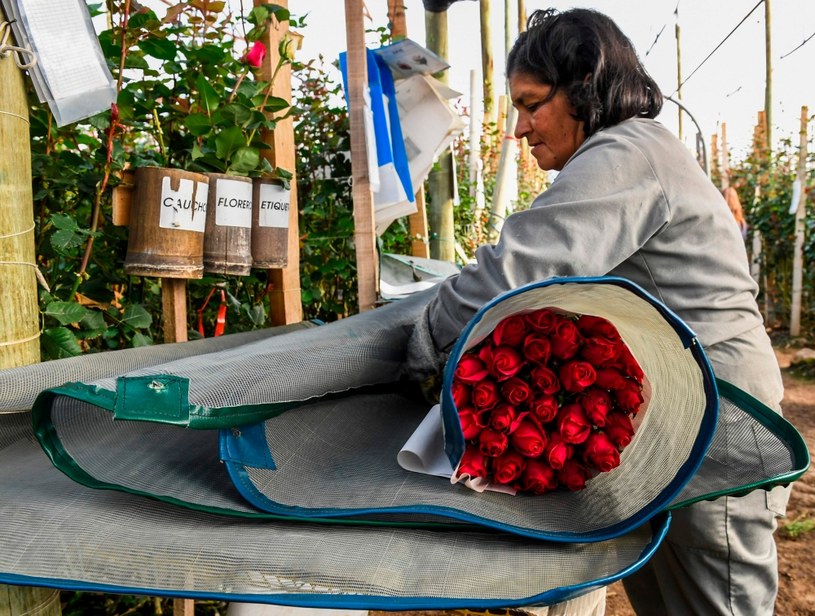 Ruch na giełdach kwiatów /AFP