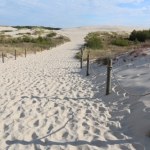 Ruchome wydmy nad Bałtykiem. Unikalne zjawisko przyrodnicze w Polsce