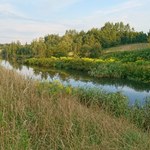 Ruda Śląska: W dolinie Kochłówki ustanowiono użytek ekologiczny