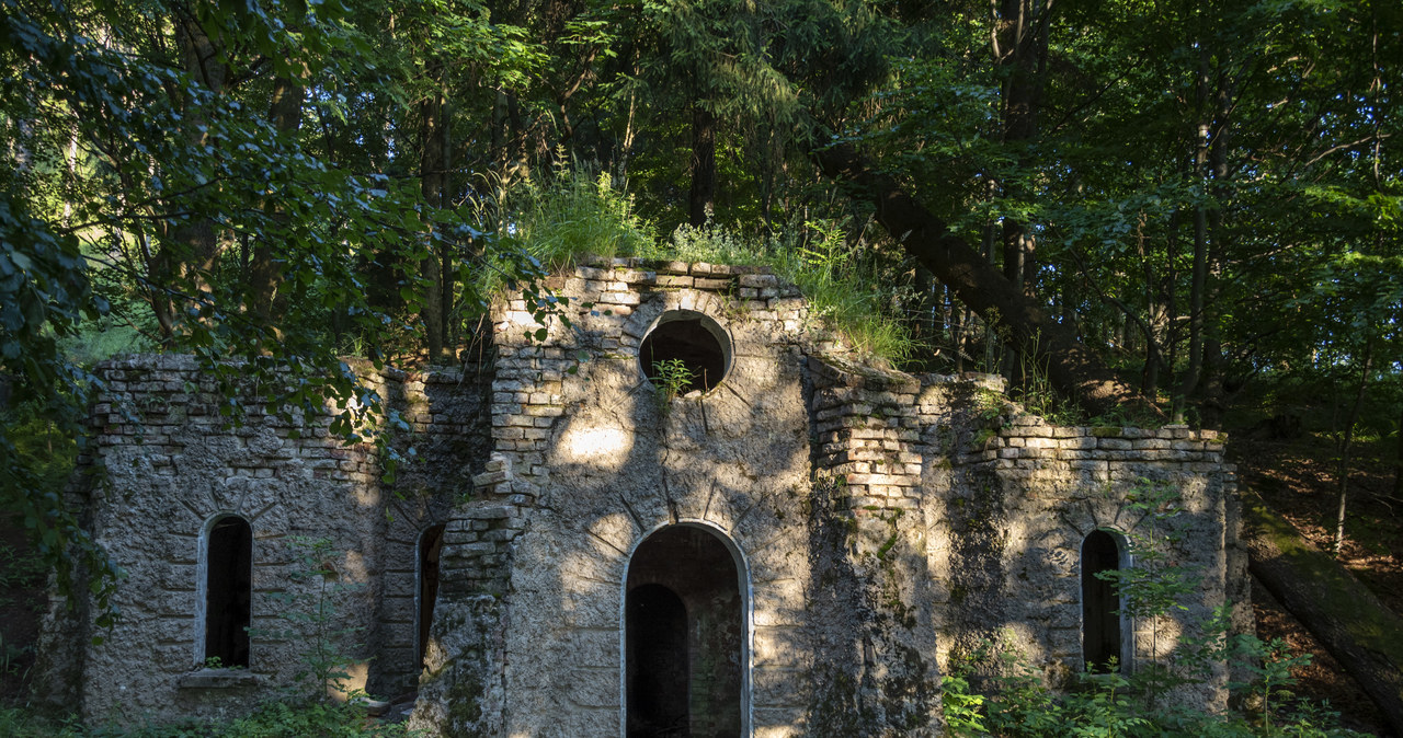 Ruina Pawilonu Zameczek /Radek Jaworski /Agencja FORUM