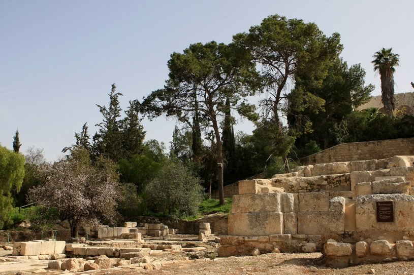 Ruiny bazyliki w Emaus Nicopolis - jednym z miejsc uznawanych za prawdopodobną lokalizację biblijnego miasta /123RF/PICSEL