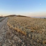Irak Ruiny sprzed tysięcy lat, ślady wielkiej bitwy i pałacowe dokumenty z Iraku