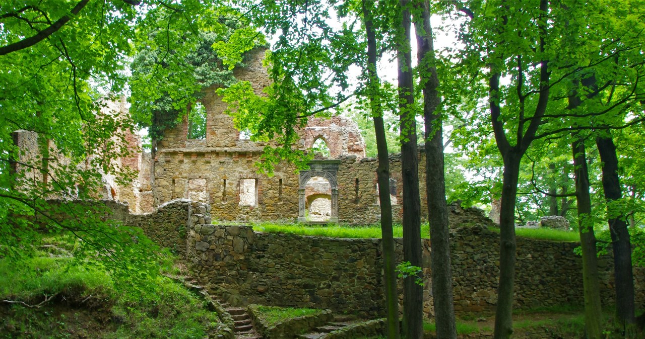 Ruiny Starego Księża to jedna z największych atrakcji na trasie Ścieżki Hochbergów. /East News