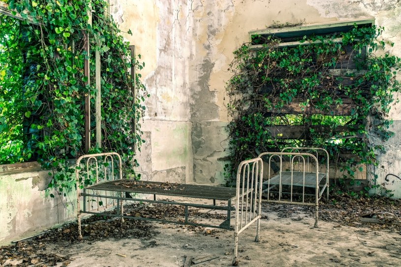 Ruiny szpitala na wyspie Poveglia /123RF/PICSEL
