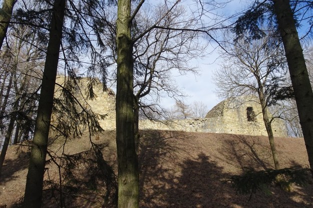 Ruiny zamku w Lanckoronie /Shutterstock