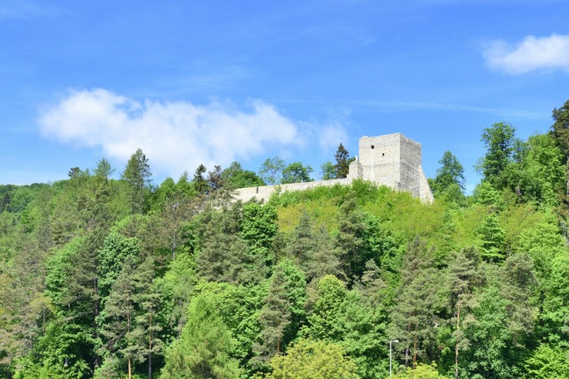 Ruiny zamku w Muszynie /Albin Marciniak/East News /East News