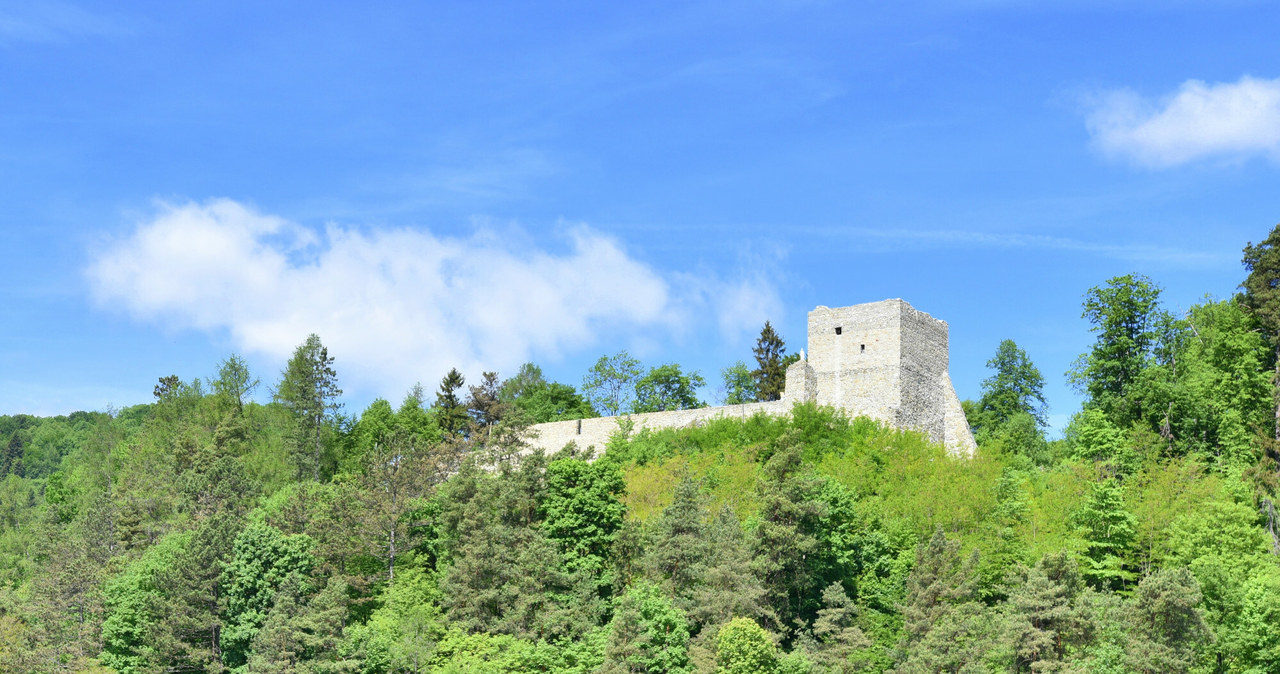 Ruiny zamku w Muszynie /Albin Marciniak/East News /East News