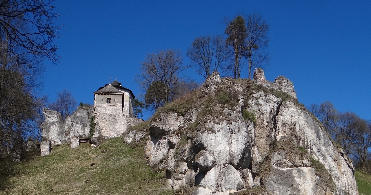 Ruiny zamku w Ojcowie. To jeden z symboli Jury Krakowsko-Częstochowskiej. /Jerzy Opioła - Praca własna, CC BY-SA 4.0 /Wikimedia