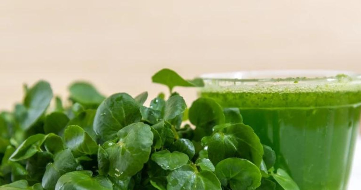 Rukiew wodna sprawdzi się jako dodatek do wielu dań, a także jako jeden ze składników pesto, zielonych koktajli oraz smoothie. /123RF/PICSEL