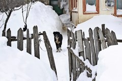 Rumunia pod śniegiem