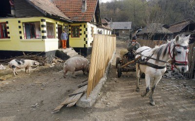 Rumuńska wioska Glod pojawia się w początkowej sekwencji filmu /AFP