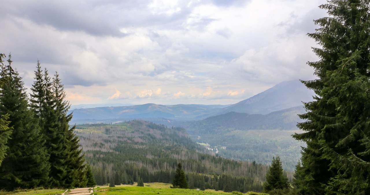 Rusinowa Polana jest idealna na piesze wycieczki