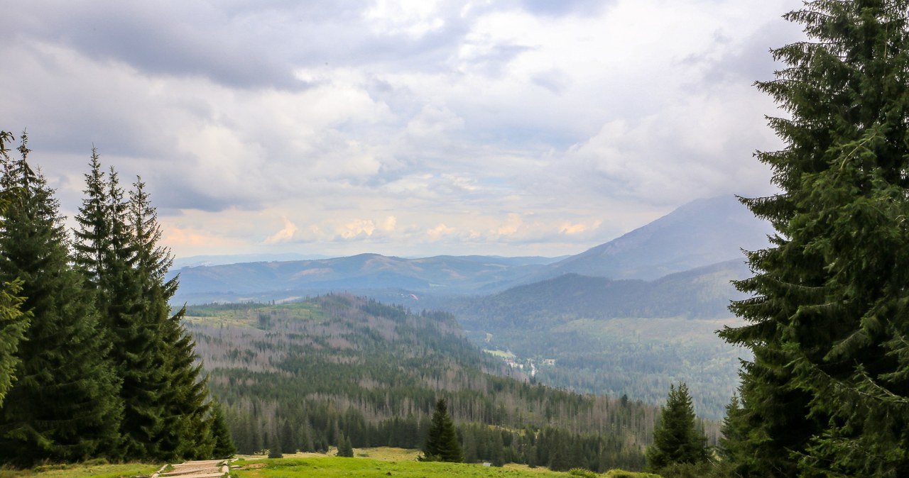 Rusinowa Polana to świetny pomysł na rodzinną wycieczkę /123RF/PICSEL