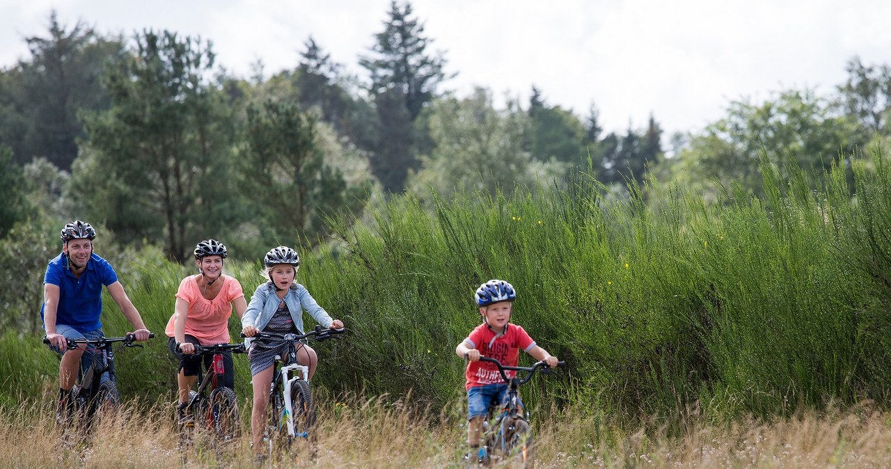 Rusz na wyprawę rowerową w Vejle /materiały prasowe