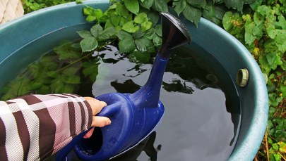 Rusza kolejna edycja programu "Złap Deszcz". Na wrocławian czekają dotacje