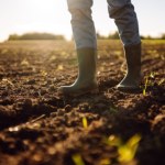 ​Rusza nabór na dofinansowanie dla małych gospodarstw. Kto może dostać pieniądze?