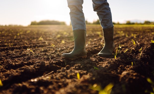 ​Rusza nabór na dofinansowanie dla małych gospodarstw. Kto może dostać pieniądze?
