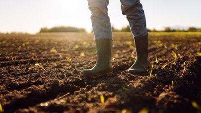​Rusza nabór na dofinansowanie dla małych gospodarstw. Kto może dostać pieniądze?