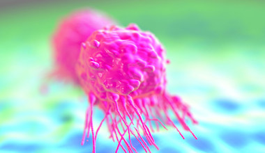 Ruszają testy eksperymentalnego leku na raka
