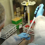 Ruszy produkcja pierwszego polskiego testu na koronawirusa