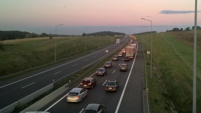 Ruszyła akcja "Pasy". Kierowców ma kontrolować ponad 5 tys. policjantów