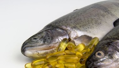 Ruszyła pierwsza taka plantacja roślin GMO z kwasami omega-3