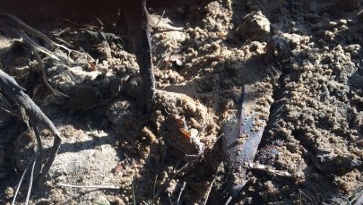 Ruszyła zbiórka na prace archeologiczne byłego cmentarzyska wojów 