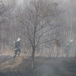Ruszyło wypalanie traw. Seria pożarów w całej Polsce