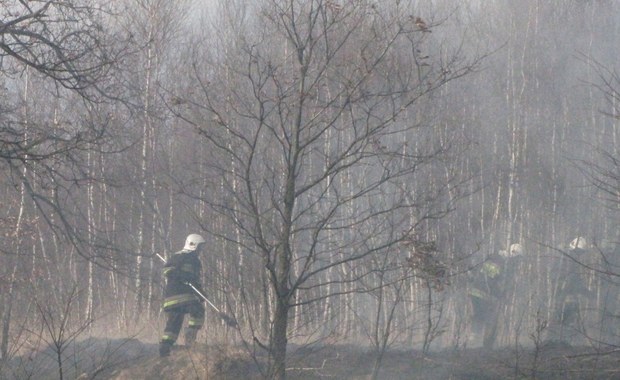 Ruszyło wypalanie traw. Seria pożarów w całej Polsce