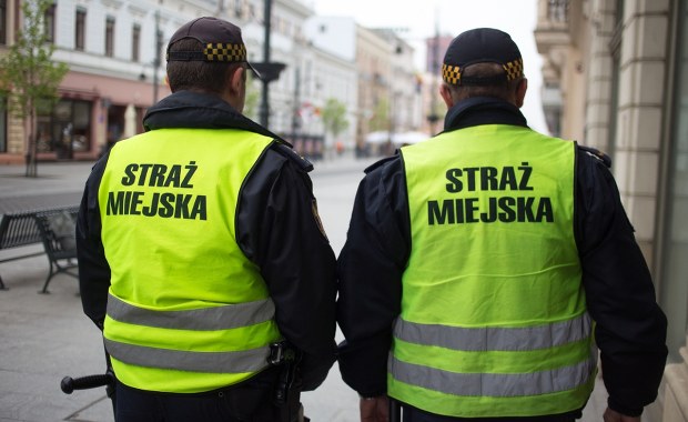 Ruszyły kontrole, kara to nawet 5 tys. zł. Co sprawdza straż miejska?