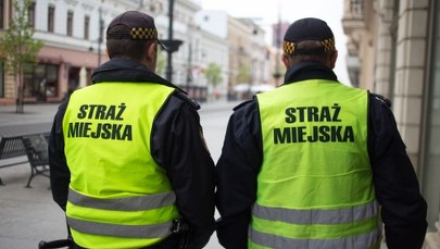 Ruszyły kontrole, kara to nawet 5 tys. zł. Co sprawdza straż miejska?
