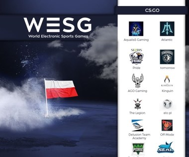 Ruszyły polskie kwalifikacje do igrzysk esportowych WESG 